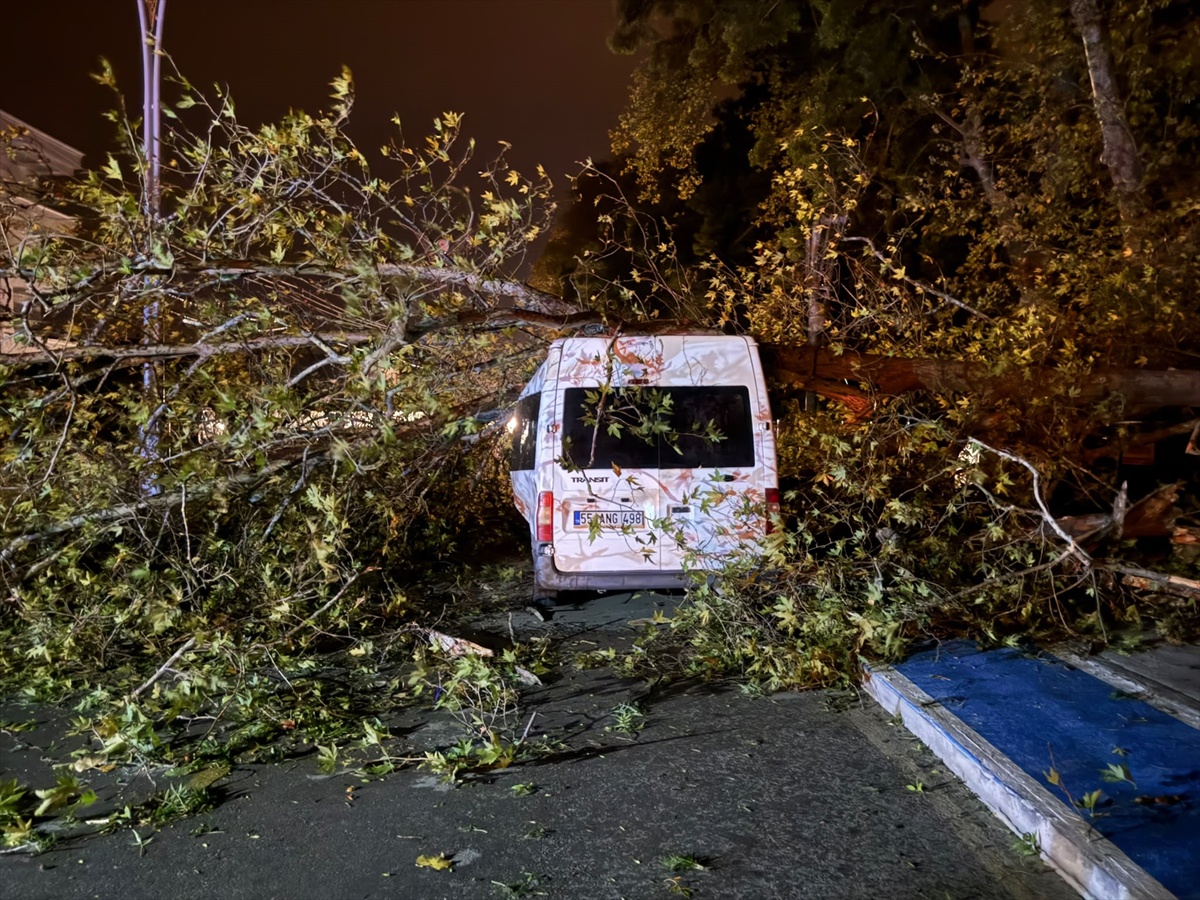 [BELEDIYE · Samsun · Alaçam] Samsun'da rüzgardan devrilen ağaç araca zarar verdi