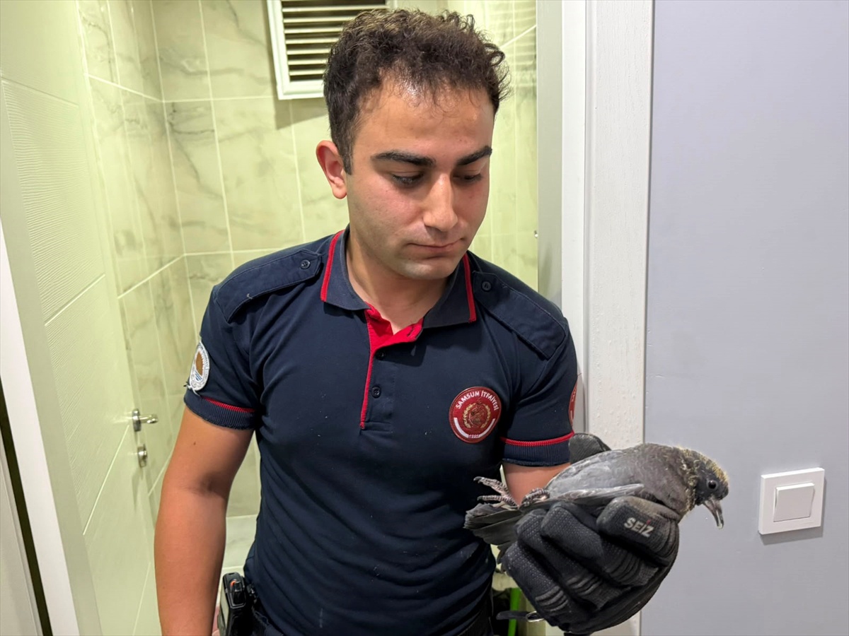 [BELEDIYE · Samsun · Alaçam] Yavru Güvercin İtfaiye Ekipleriyle Kurtarıldı
