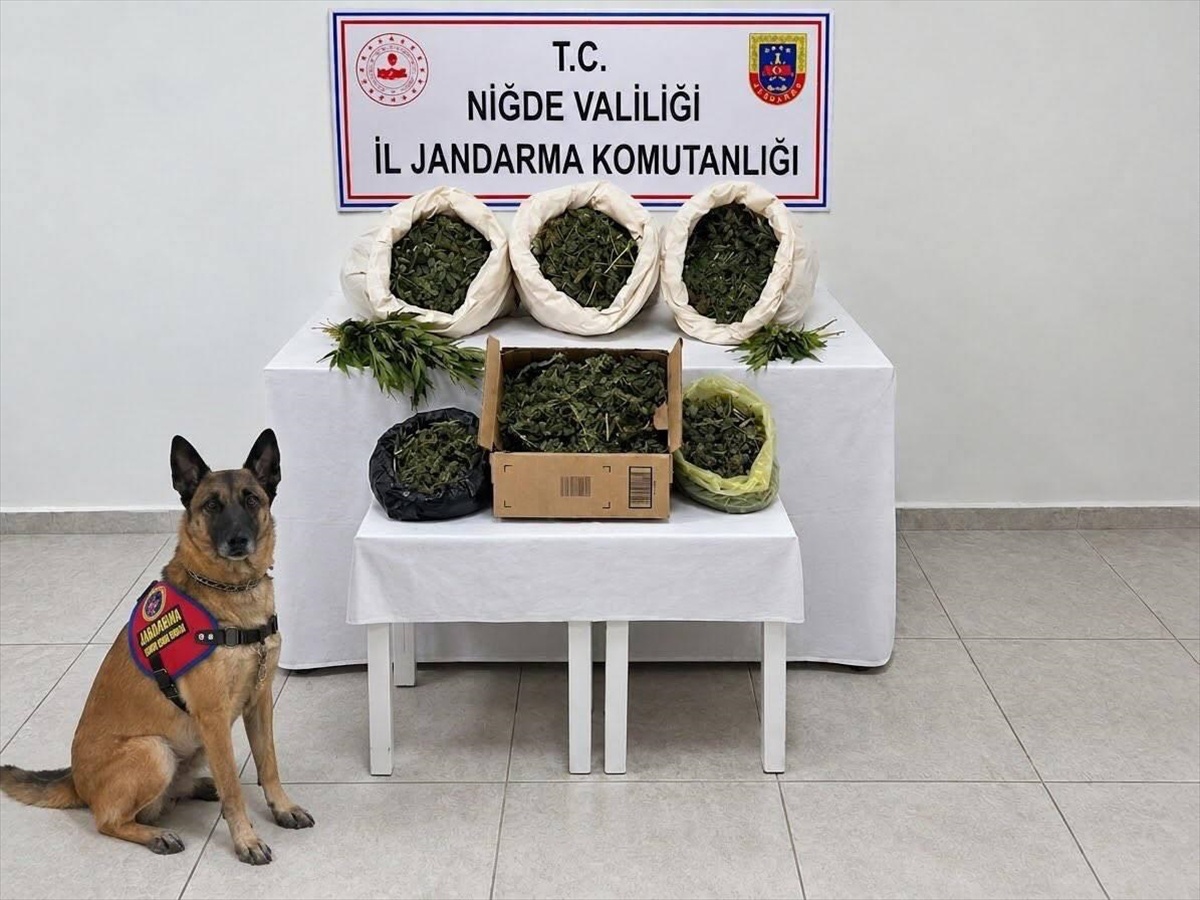 Niğde'nin Fesleğen köyünde uyuşturucu operasyonunda 3 şüpheli gözaltına alındı