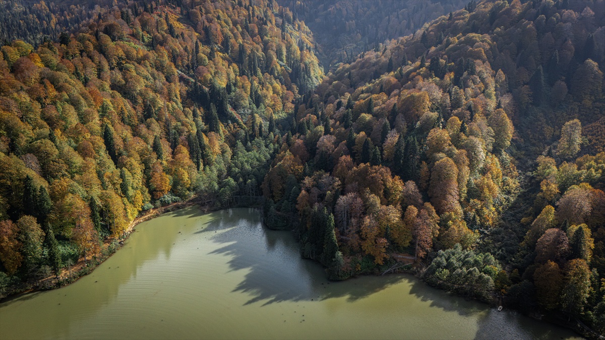 Artvin Borçka Karagöl Tabiat Parkı sonbahar renkleriyle ziyaretçilere manzara sunuyor