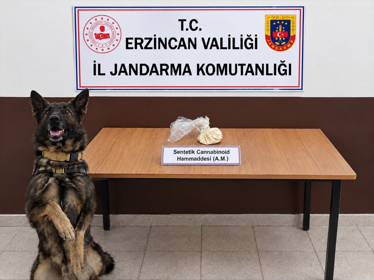 Erzincan'da 35 gram sentetik kannabinoid ele geçirildi, 2 şüpheli gözaltına alındı