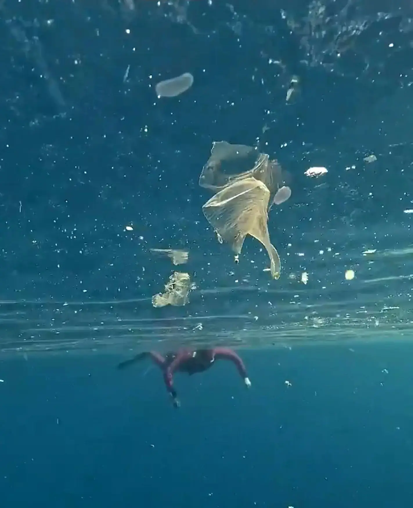 Antalya'da denize girenler plastik atıkların arasında yüzdü! Uzman isimden kritik uyarı