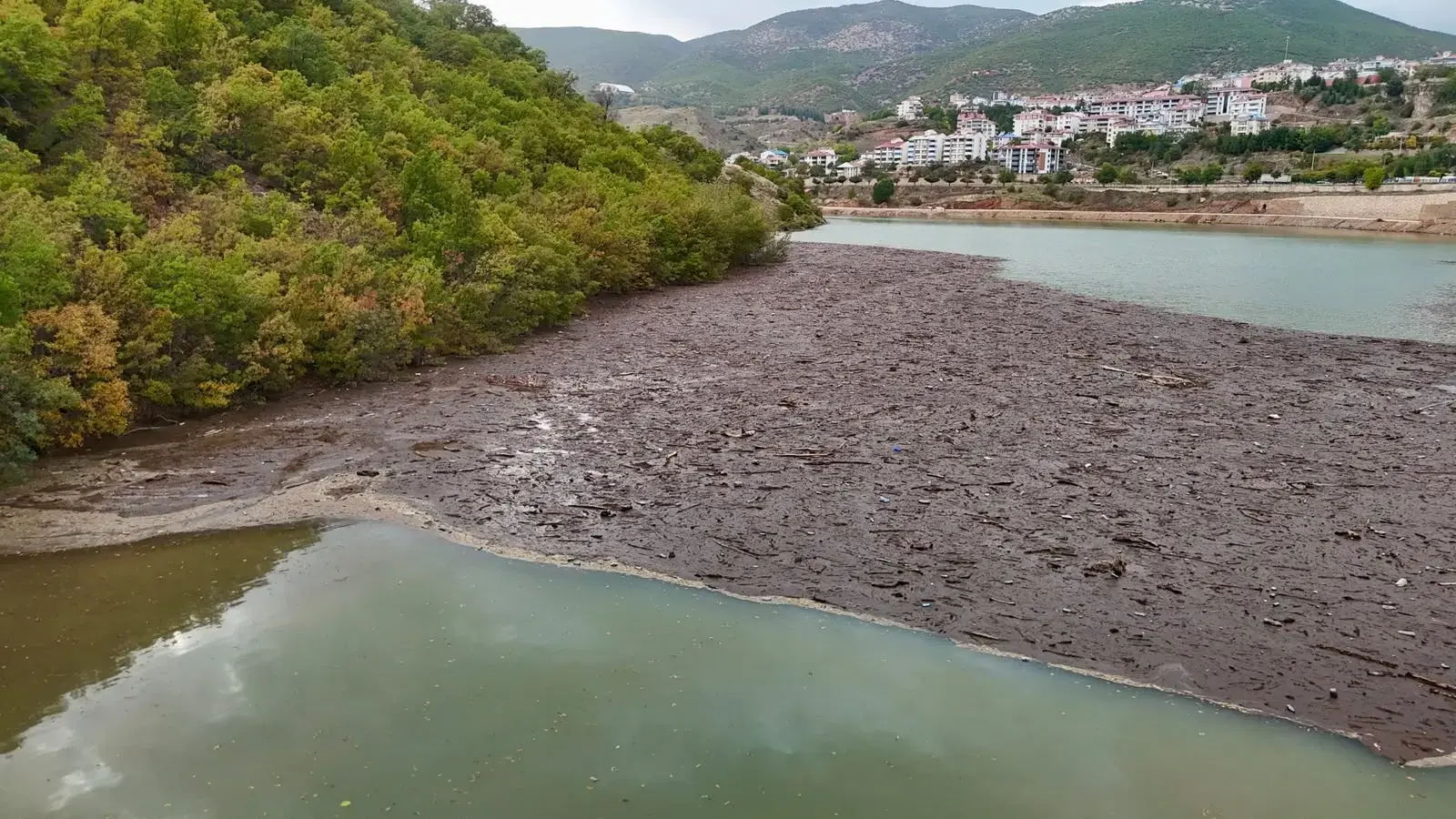 Tunceli’de sağanak sonrası korkutan görüntü! Munzur ve Pülümür’den gelen atıklar kıyıya yığıldı