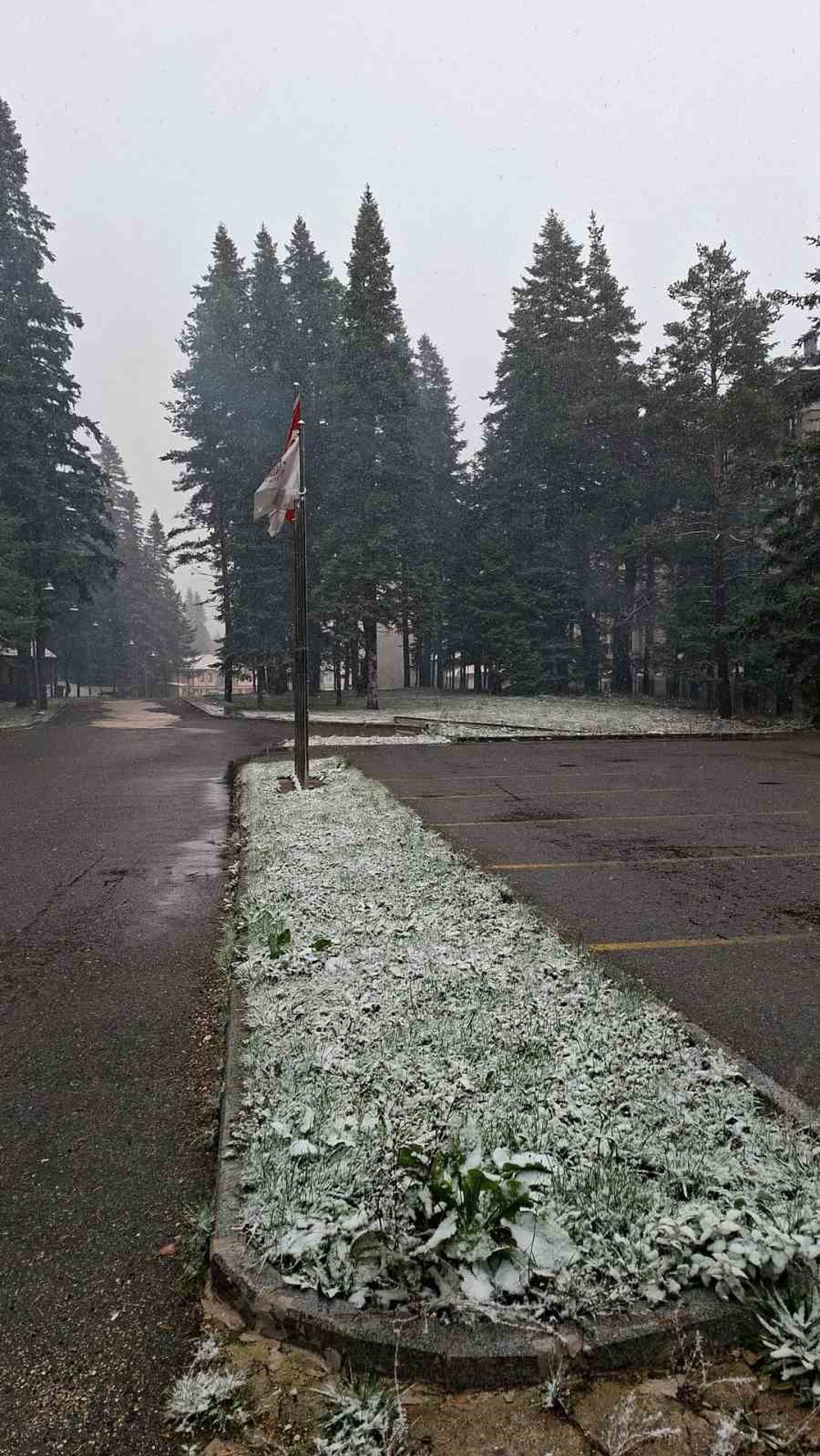 Kastamonu-Çankırı sınırında Ilgaz Dağı'nda kar yağışının gün boyu sürmesi bekleniyor