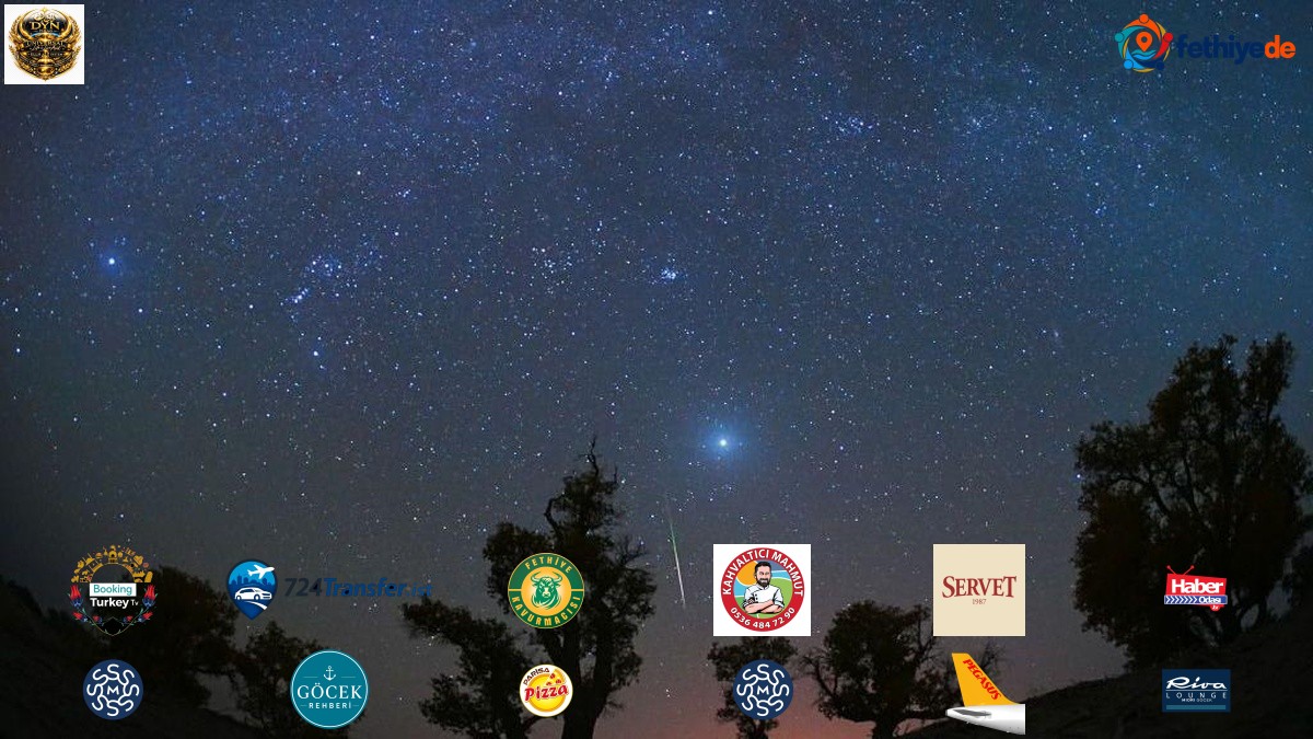 NASA'ya göre Orionid meteor yağmuru 21 Ekim'i 22 Ekim'e bağlayan gece zirve yapacak