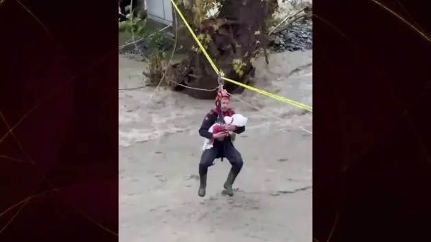 Sakarya'da Jandarma'nın yürekleri ısıtan görüntüsüne Bakan Mustafa Çiftçi'den tebrik mesajı