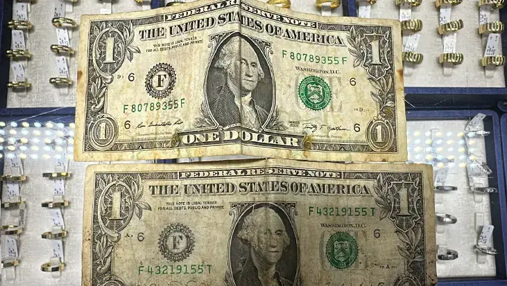 Alihan Kuriş suç örgütü soruşturmasında yeni gelişme! Çelik kasada F serisi 5 adet 1 dolar bulundu
