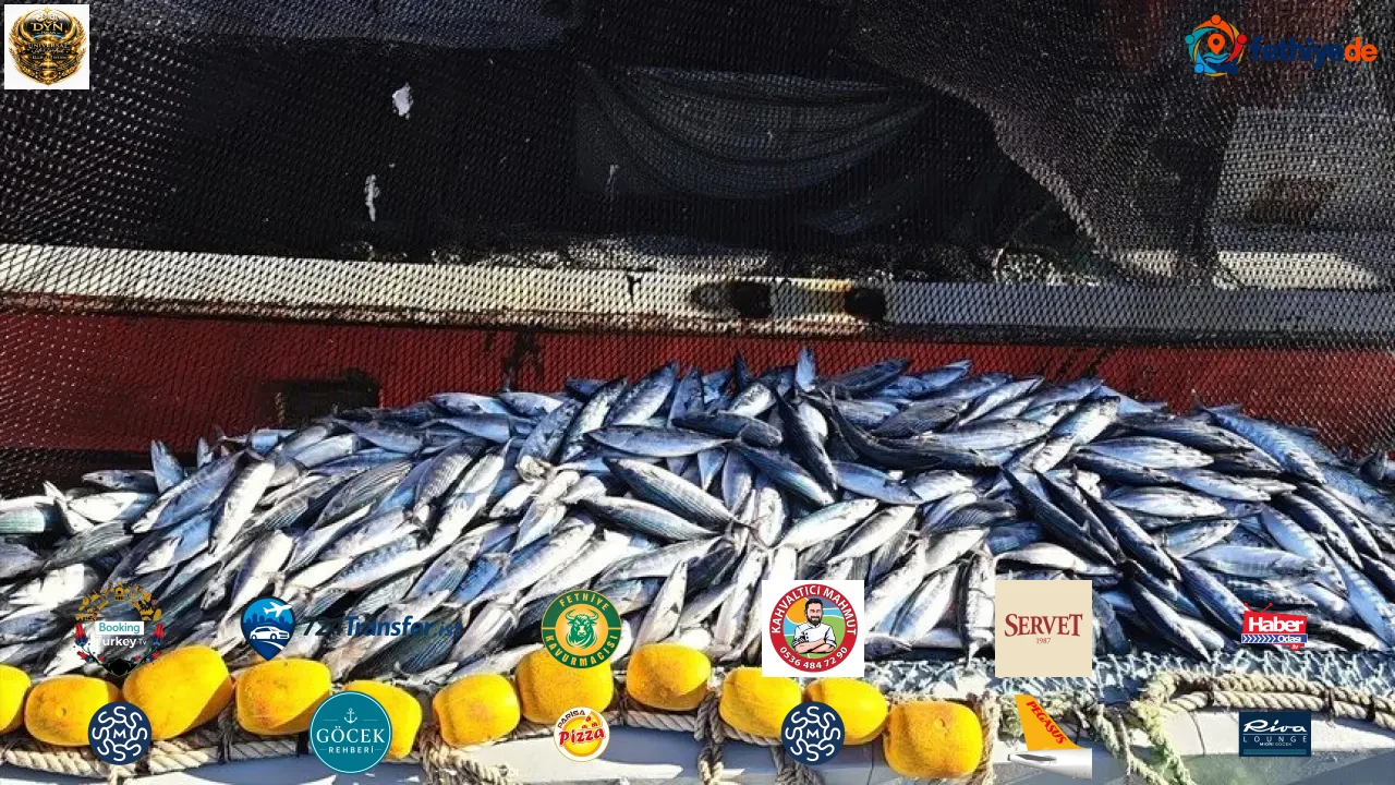 Böylesi en son 20 yıl önce görüldü! Fiyatı gören tezgaha koşuyor!