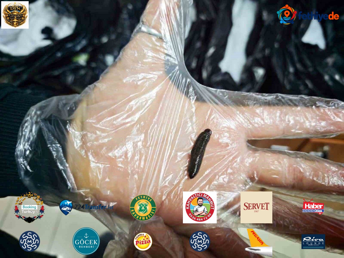 Kayseri Havalimanı'nda gümrükte şaşırtan yakalama! 25 bin canlı sülük ele geçirildi