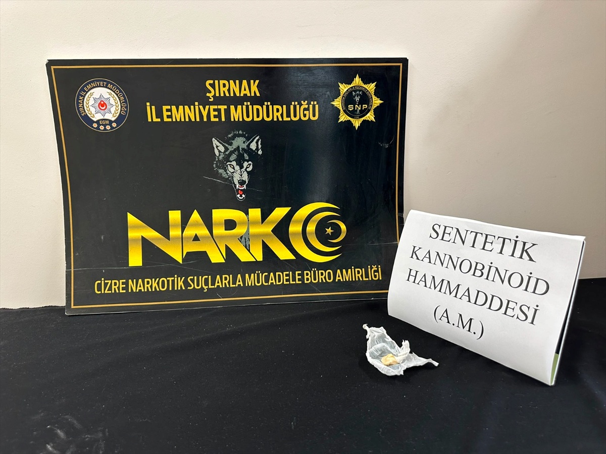 Şırnak'ta 12-18 Ekim operasyonlarında 29 şüpheli adli işleme tabi tutuldu
