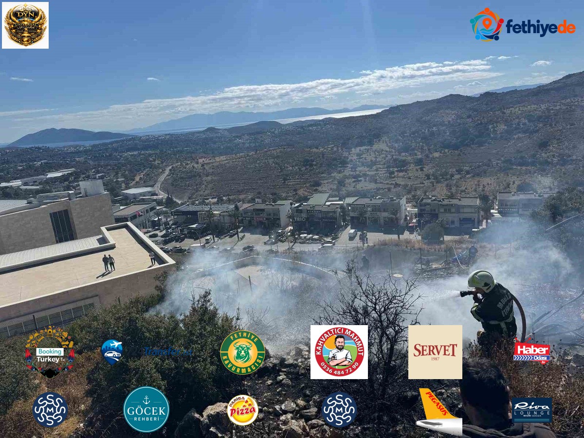 Bodrum Konacık'taki makilik yangında 200 metrekarelik alan zarar gördü