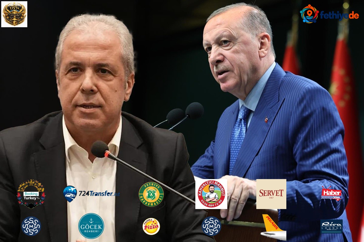 Şamil Tayyar'dan yeni istifaların sinyalini verdi: Erdoğan da korumaz, uzatmayın