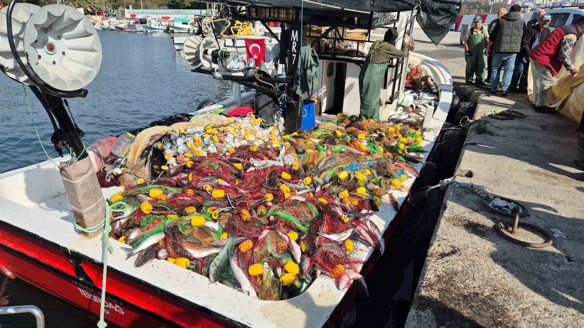 Tekirdağ Süleymanpaşa'da balıkçılar 1,5 ton kefalle limana döndü