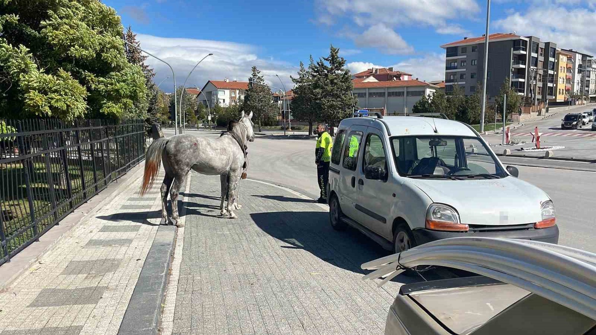 Karaman'da bağlı yerden kaçan at, koşarak gelip otomobile arkadan çarptı! O anlar kamerada