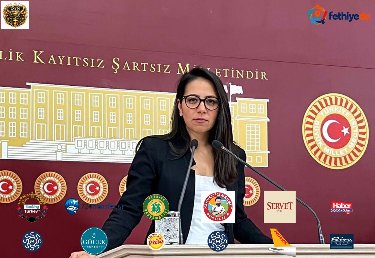 Kadıgil, 125 kişiye mezar olan İskenderun Devlet Hastanesi raporunu Meclis'e taşıdı