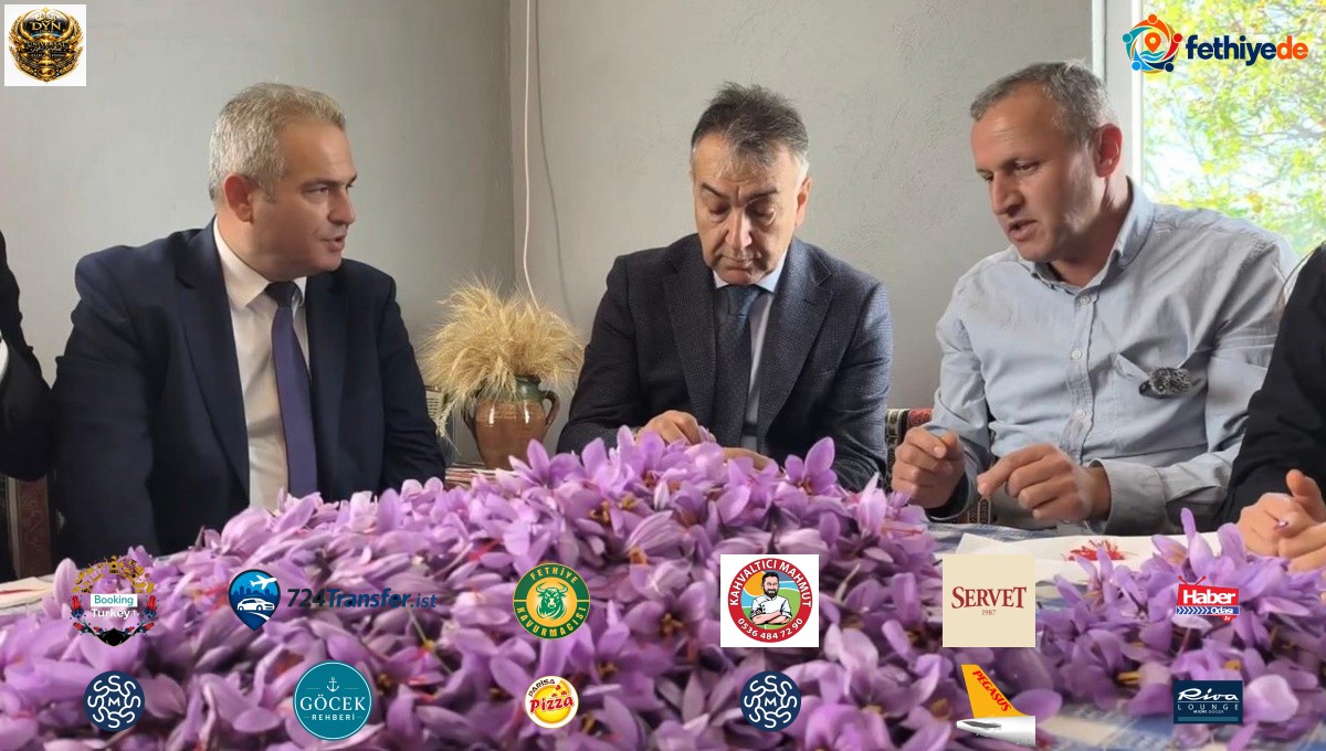 Safranbolu'da safran hasadı sürüyor! Kilosu 800 bin TL'den satışa sunuldu