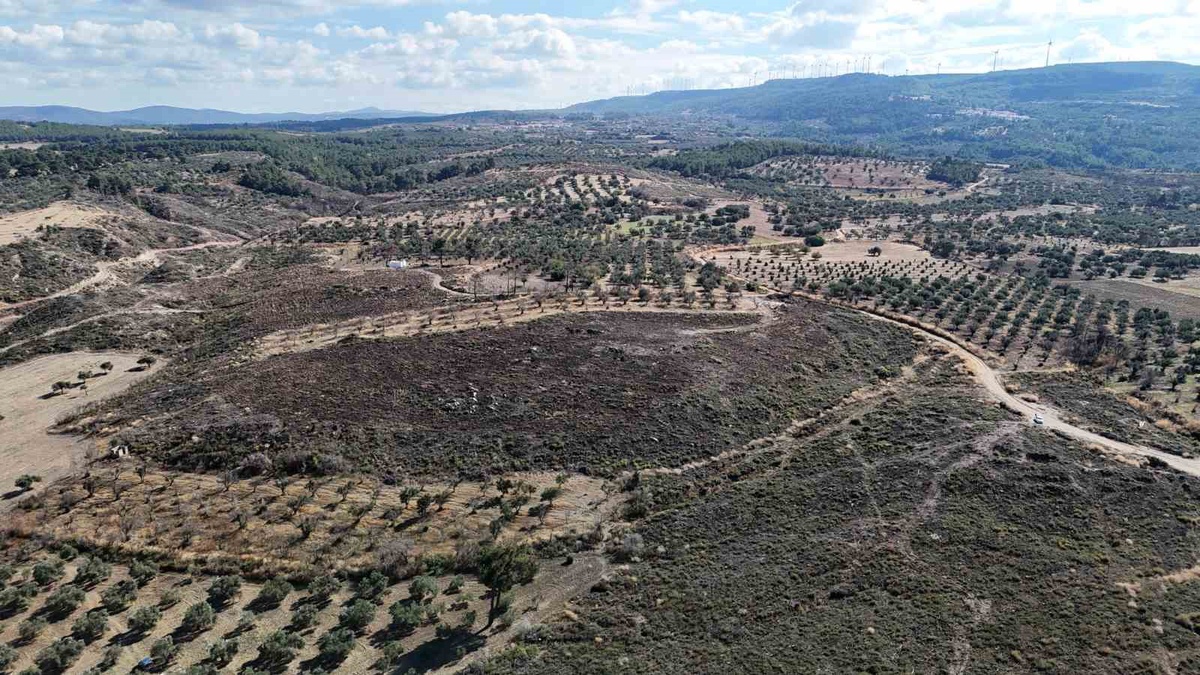 Çanakkale Güzelyalı'da 24 saat süren yangının ardından yeniden yeşerme başladı