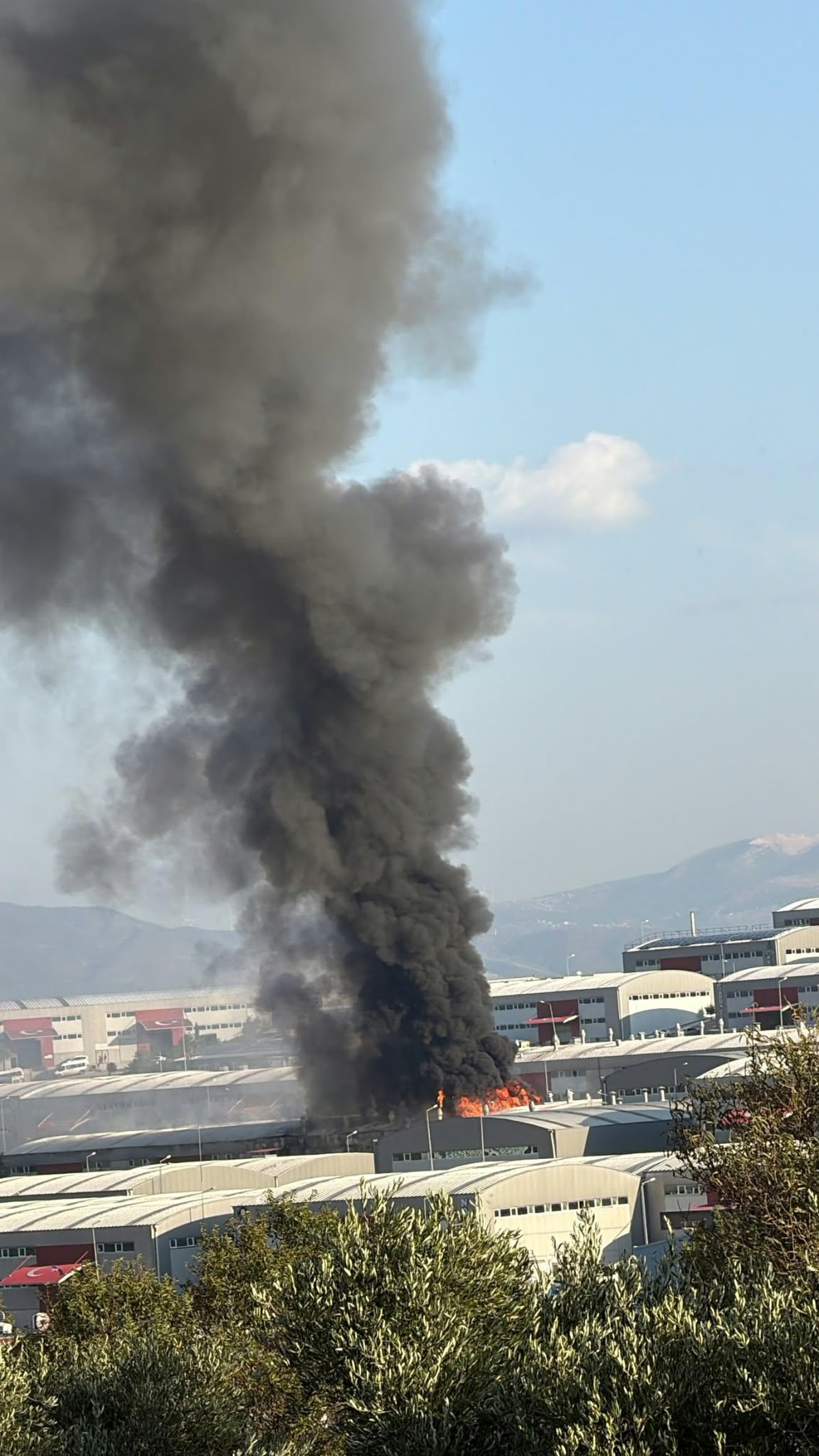 Hatay Antakya'da mobilya fabrikasında çıkan yangına itfaiye ekipleri müdahale ediyor