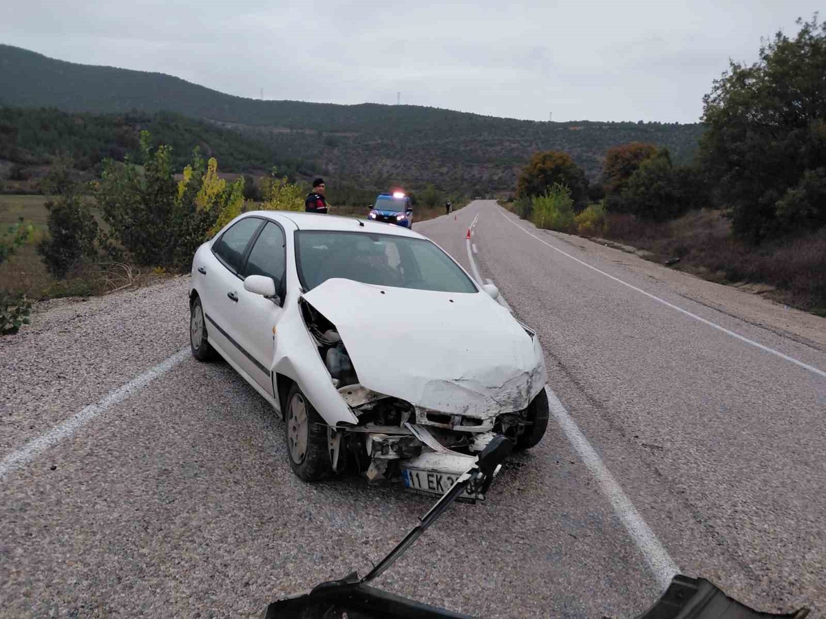 Bilecik Gölpazarı'nda yağışla kayganlaşan yolda otomobil kaza yaptı, sürücü yaralandı