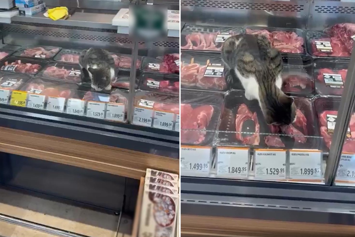 Türkiye'nin ünlü zincir marketinde pes dedirten görüntü!