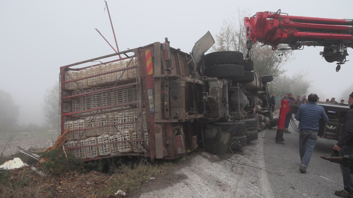 Bolu'da canlı tavuk yüklü kamyon virajda devrildi, 4 kişi yaralandı