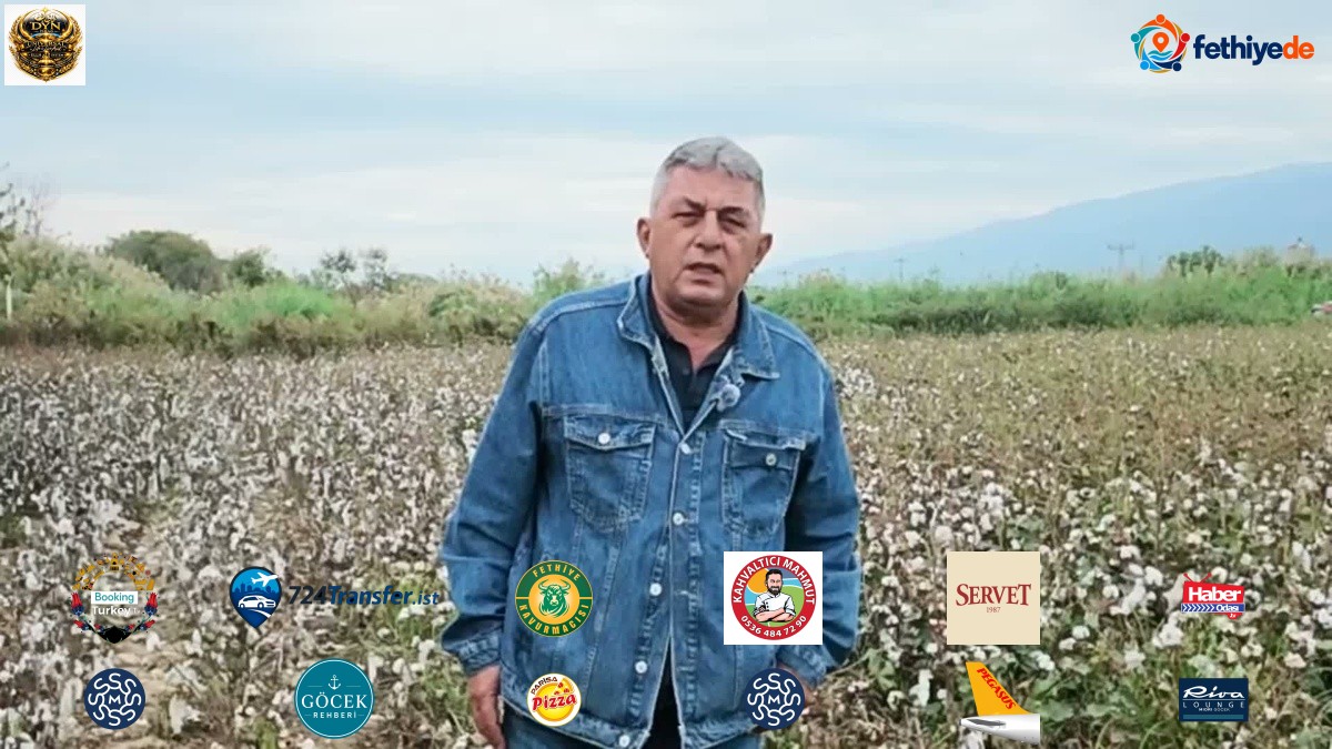 Aydın Nazilli'de pamuk üreticisi mazotun litresi 30'dan 100 liraya çıkınca zorlanıyor