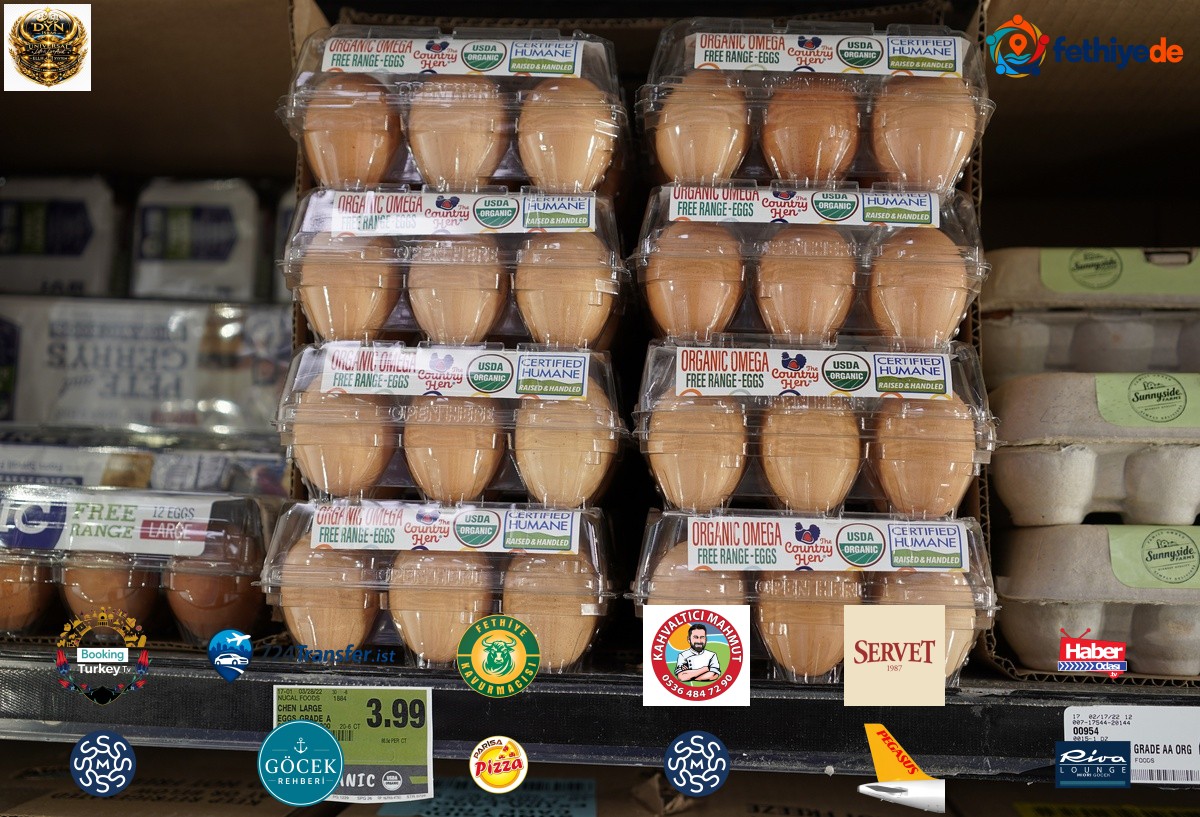 Hong Kong, H5N1 nedeniyle Kanada ve ABD'nin bazı bölgelerinden kanatlı ithalatı kesti