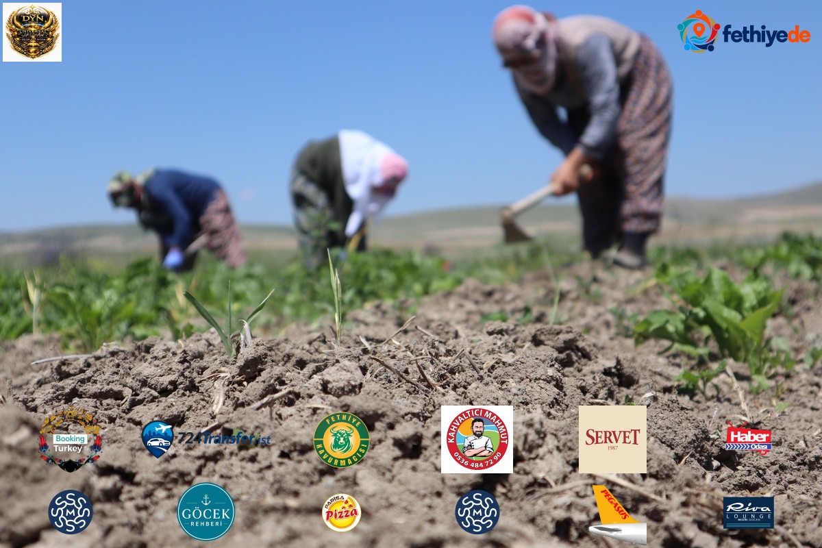İAÜ raporu COP31 öncesi İzmir ve Mersin kıyılarında taşkın riskini ortaya koydu