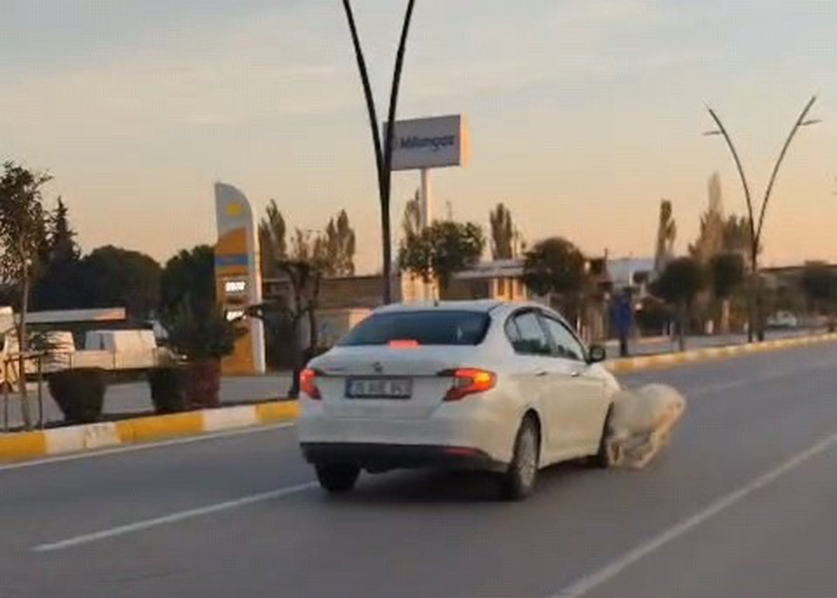 Manisa Akhisar'da otomobilin çarptığı koyun ve keçilerden 3 keçi telef oldu