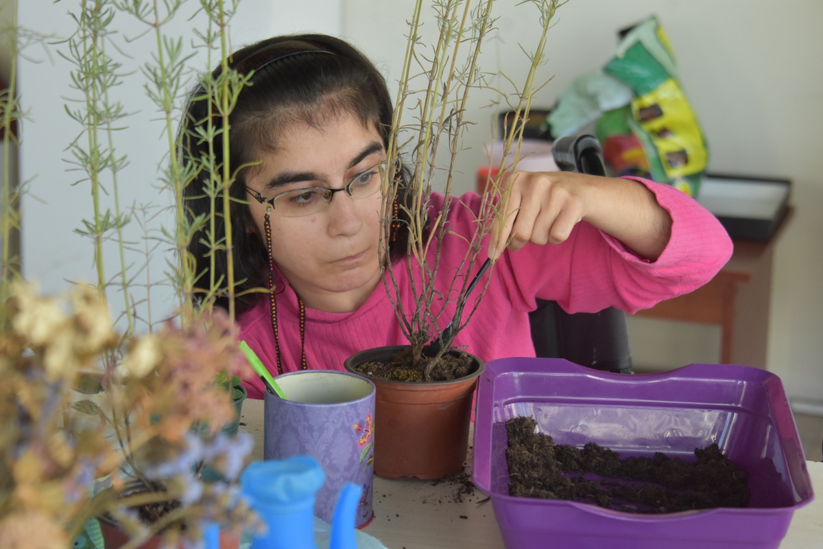 Doktorlar yüzde 1 yaşama şansı vermişti! Serebral palsili Kader Dilek 34 yaşında: Tekerlekli sandalye pranga değil
