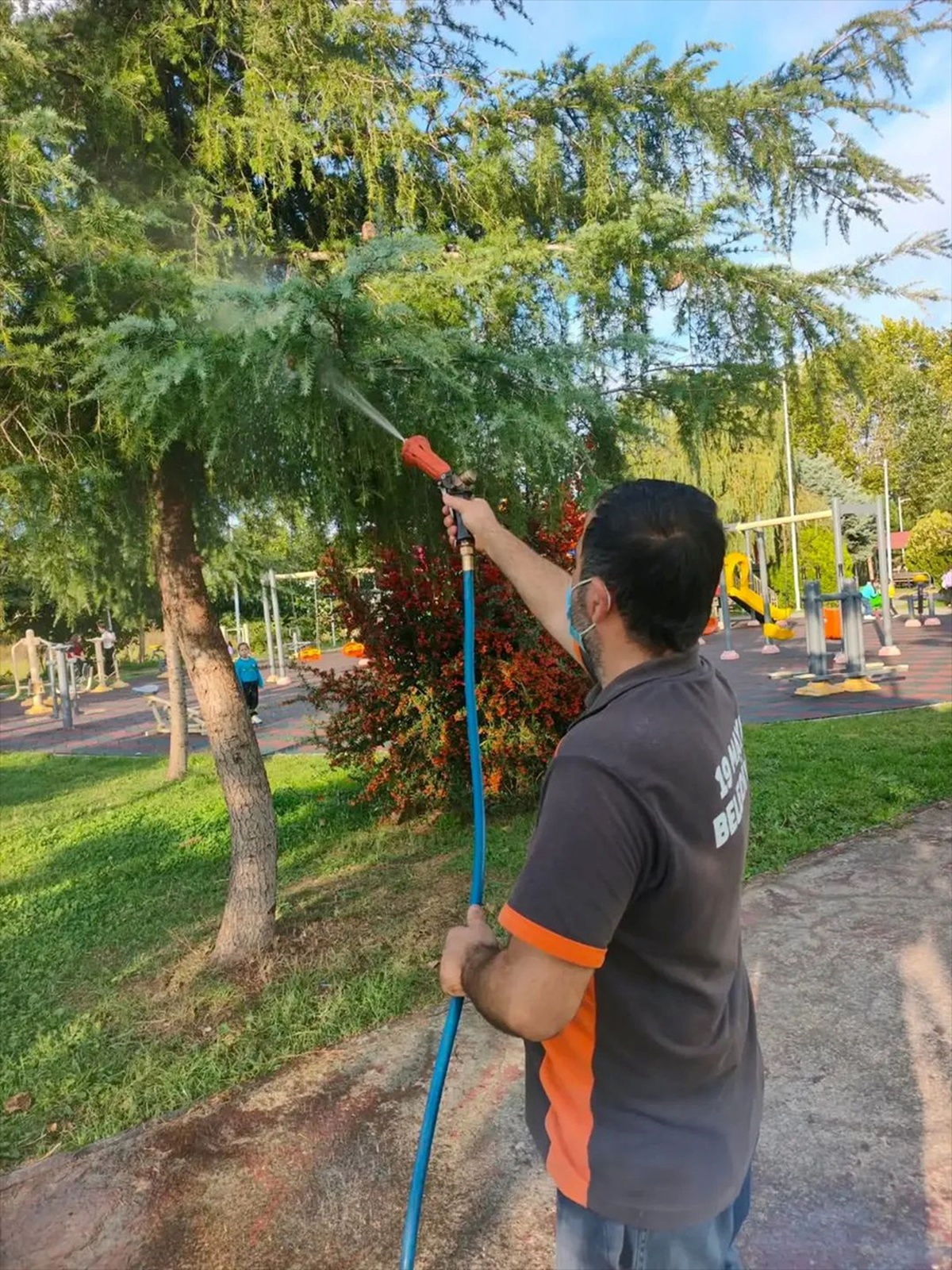 19 Mayıs Belediyesi ekipleri kahverengi kokarcaya karşı parklarda mücadele yürütüyor