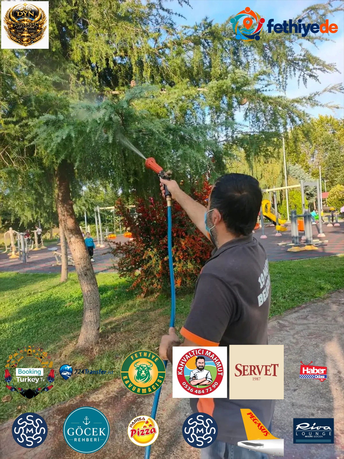 19 Mayıs Belediyesi ekipleri kahverengi kokarcaya karşı parklarda mücadele yürütüyor