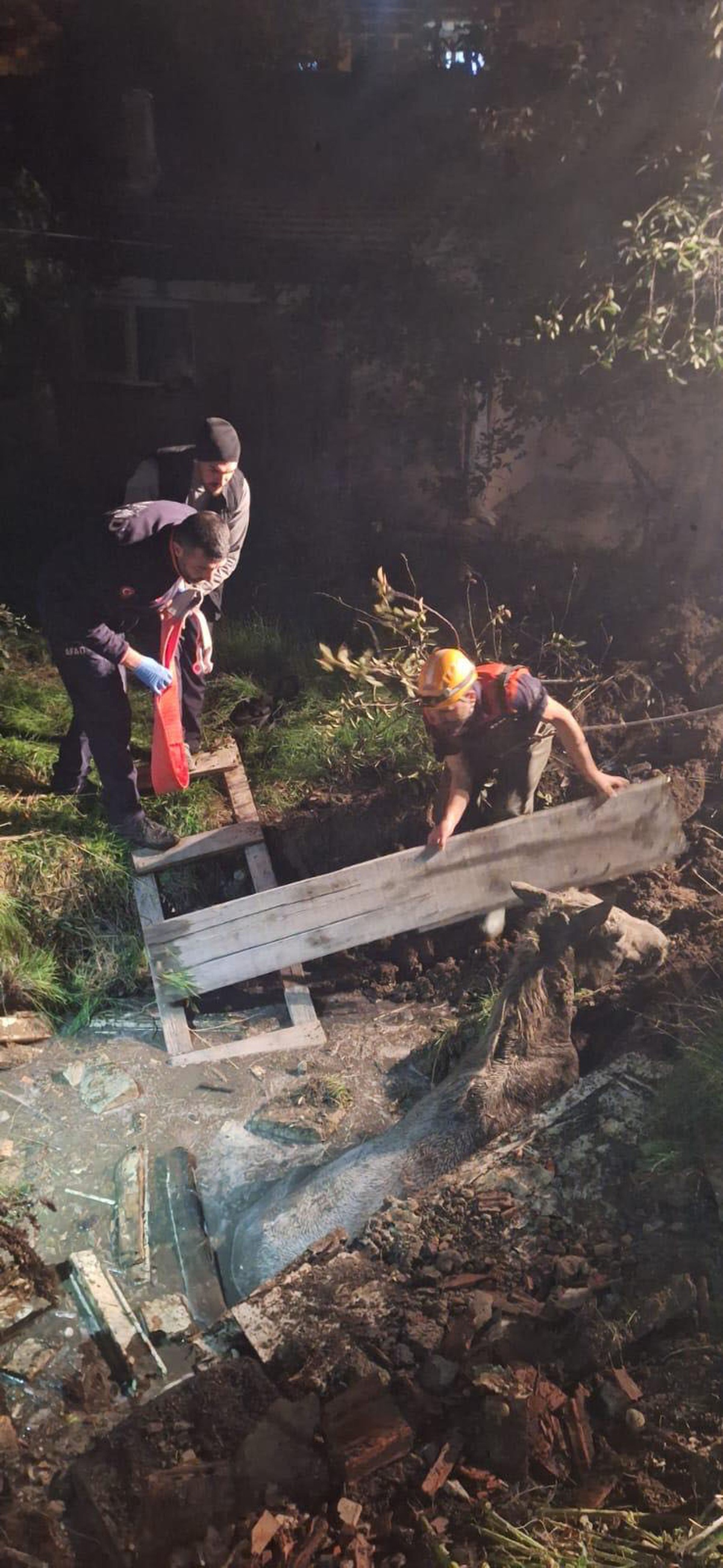 Eskişehir Odunpazarı'nda foseptik çukuruna düşen atı AFAD kurtardı
