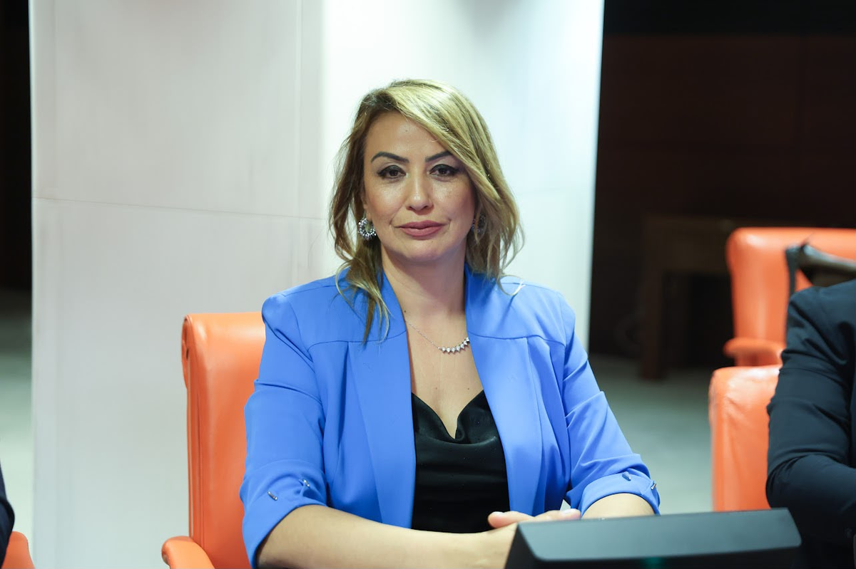 CHP'li vekil Kara, İskenderun Limanı'ndaki bozuk et iddialarını Meclis gündemine taşıdı