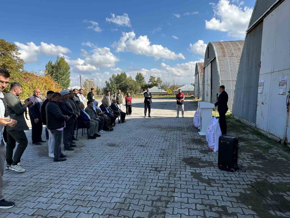 Bulanık’ta 50 üreticiye kırmızı mercimek desteği