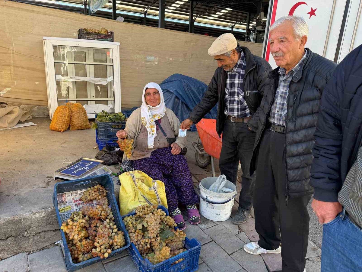 Denizli Çivril'de soğuğa dayanıklı Koçak üzümü 75-100 lira aralığında pazara indi