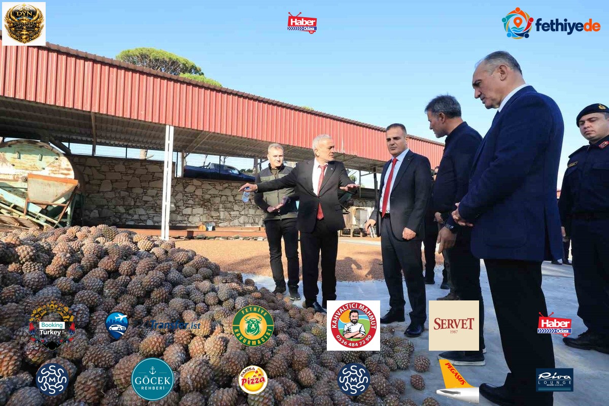 Muğla Valisi Akbıyık, Yatağan'da çam fıstığı üretimini destekleyeceğini açıkladı