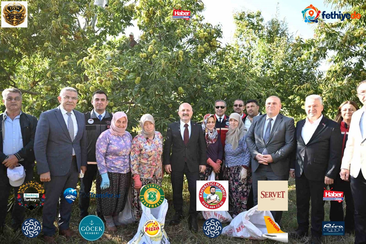 Aydın kestanesinde hasat başladı, kent 25 bin 362 tonla Türkiye ikincisi