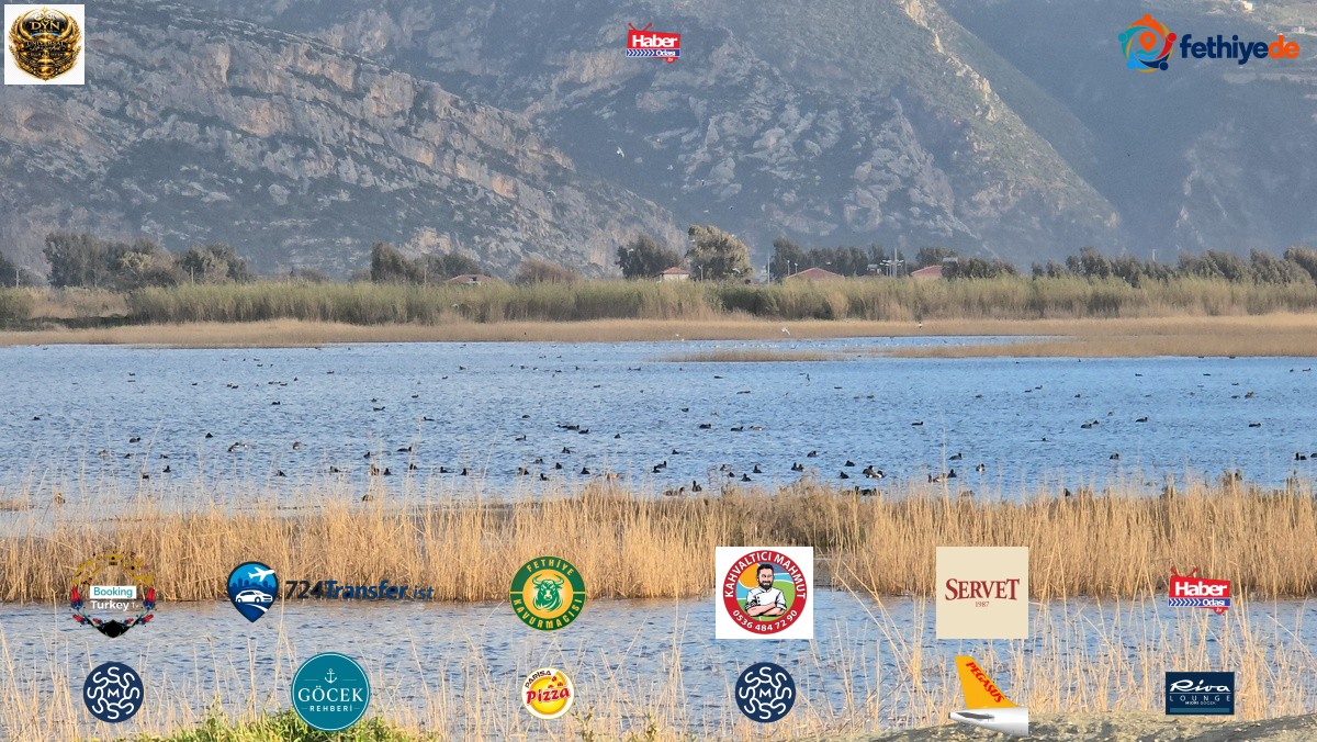 Milleyha'da sonbaharda göçmen kuş hareketliliği
