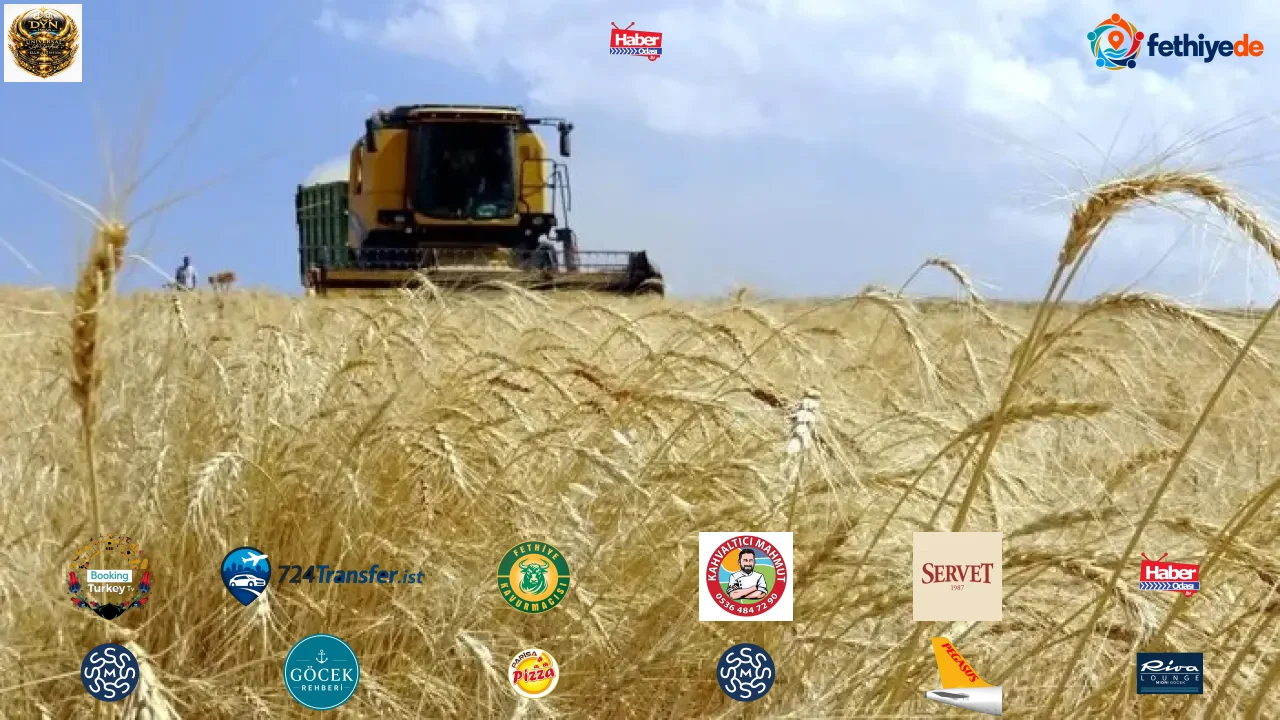 TARSİM 478 bin hasar ihbarı aldı: Tarımda 1,5 trilyon TL'lik güvence