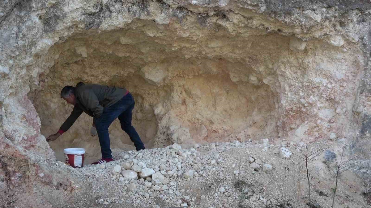 Amasya'da pekmez için dağları oyan köylüler kadın erkek birlikte üretiyor