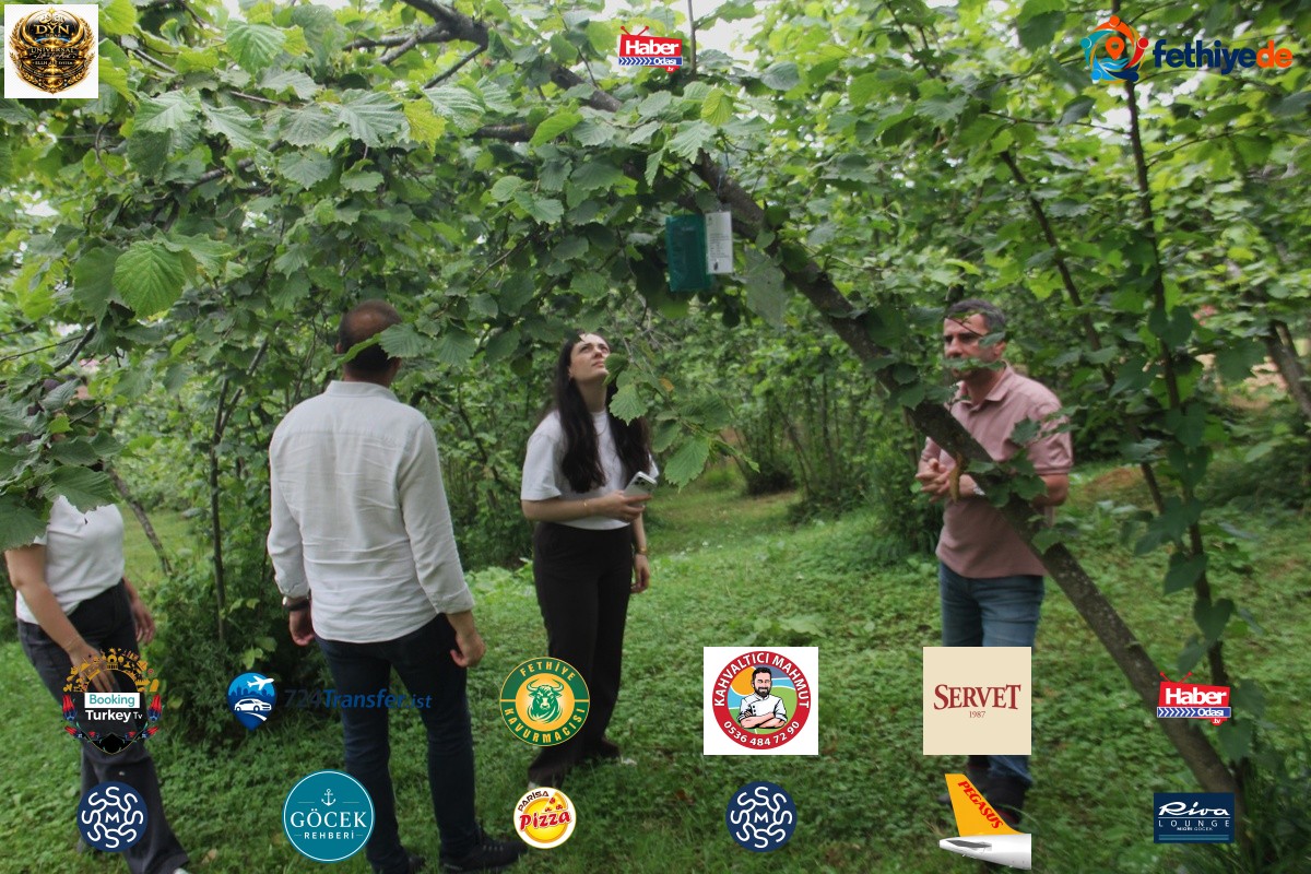 Karadeniz'de fındığı tehdit eden istilacı zararlılar 15 istasyonla takip edilecek