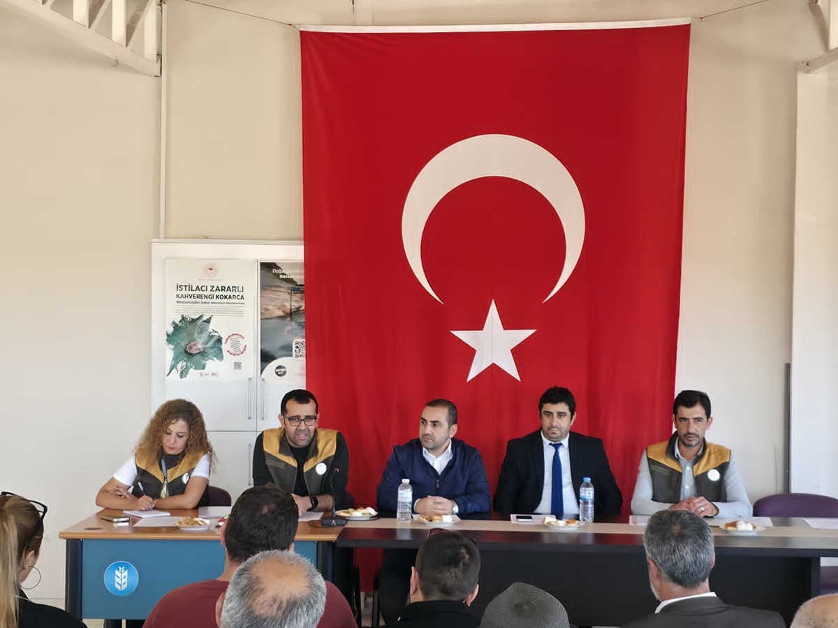 Afyonkarahisar'da haşhaş toplantısında kapsül fiyatı geçen yıla göre yüzde 50 arttı
