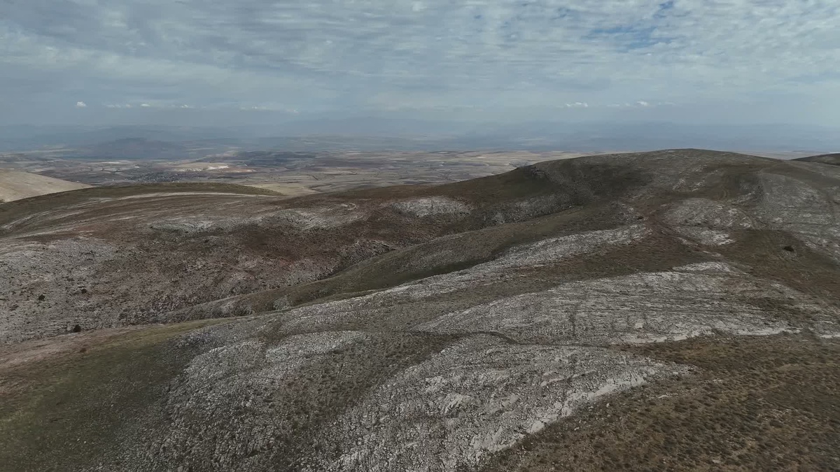 Yozgat Çayıralan'da 60-70 yılkı atı jandarma devriyeleriyle korunuyor