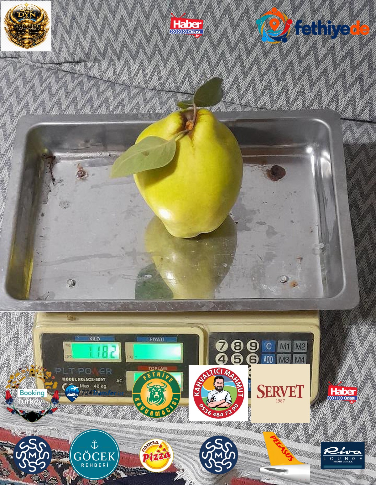 Sakarya Geyve'de tek ayva 962 gram geldi, iki ayva 1 kilo 876 gram oldu