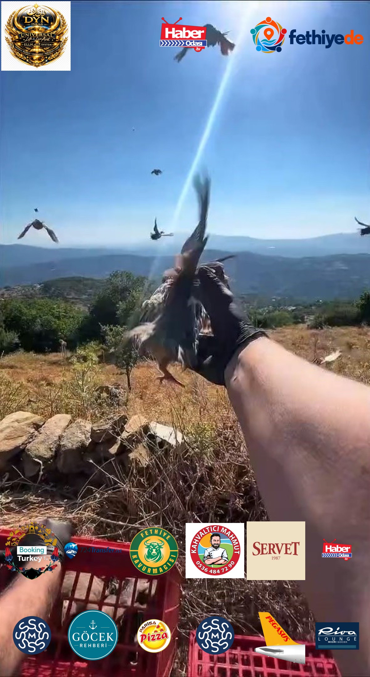 Aydın'da kınalı keklikler doğaya salındı, av yasaklarına uyum istendi
