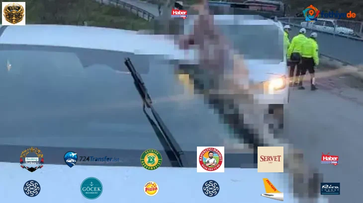 İstanbul'da dehşete düşüren kaza: Atın kopan bacağı otomobile saplandı