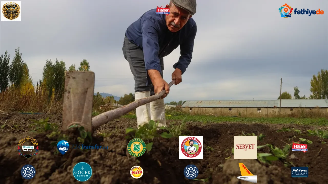 “Mucize bitki” hayatını değiştirdi! Kilosu 950 bin liraya kadar çıkıyor