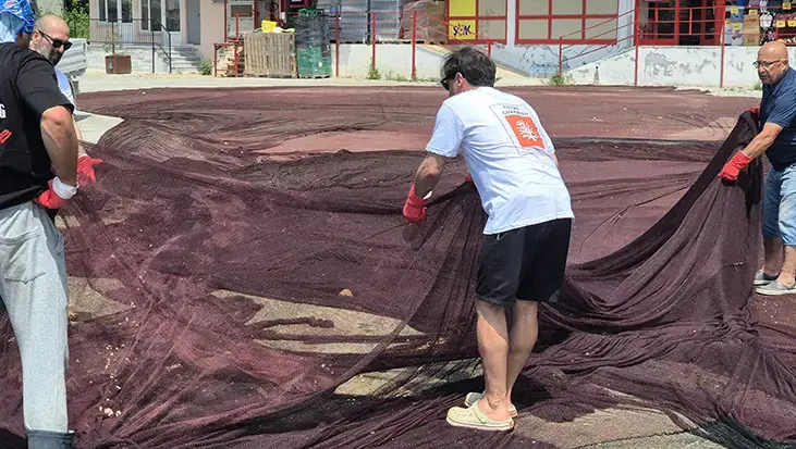 Marmara Denizi'nde 800 kilogram hayalet ağ çıkarıldı! Güneş gözlüğüne dönüşecek