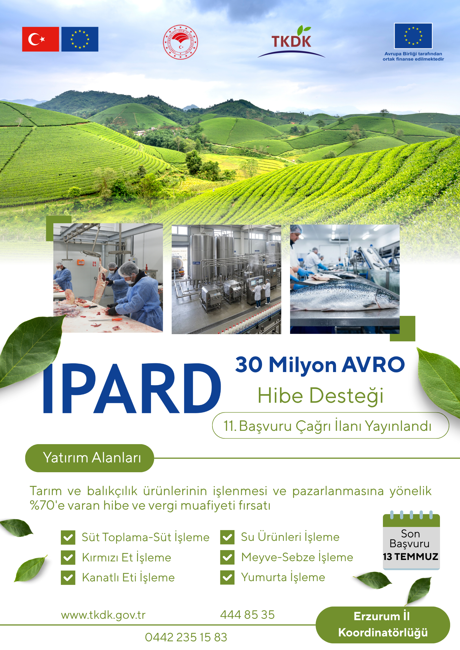 Tarım ve kırsal kalkınmayı destekleme kurumu (tkdk) ipard